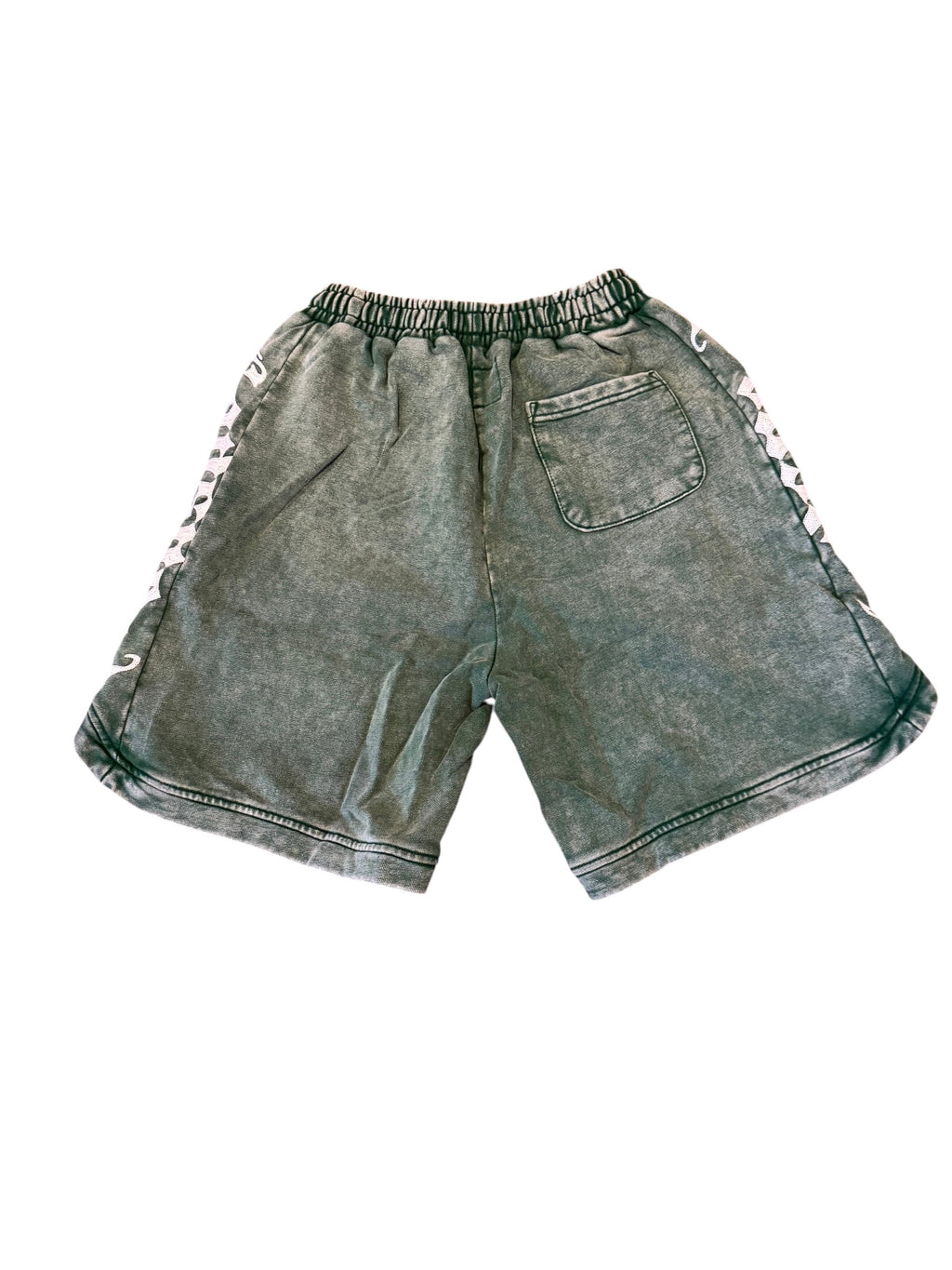 Godspeed Court side Shorts Green [S] God Speed